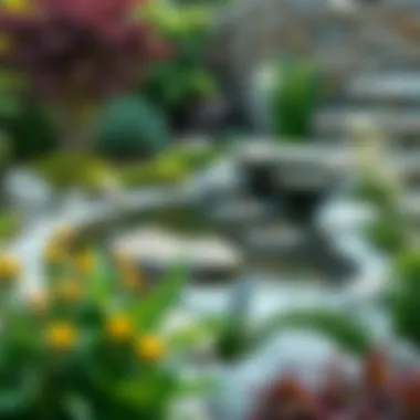 Magnificent Innovative Pond Edging Ideas for Your Outdoor Space Magnificent Innovative Pond Edging Ideas for Your Outdoor Space