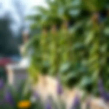 Magnificent The Role of Plant Border Supports in Enhancing Garden Aesthetics Magnificent The Role of Plant Border Supports in Enhancing Garden Aesthetics