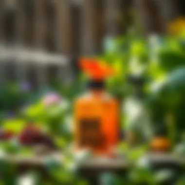 Notable A Comprehensive Guide to the Best Organic Garden Bug Spray Notable A Comprehensive Guide to the Best Organic Garden Bug Spray