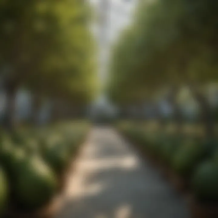 Diverse varieties of avocado trees displayed in a nursery
