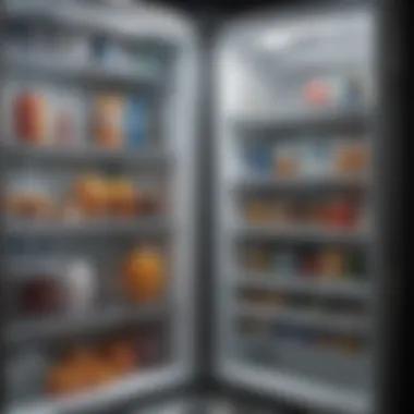 Diagnosing Leaks in Refrigerators Technique for diagnosing leaks in a refrigerator