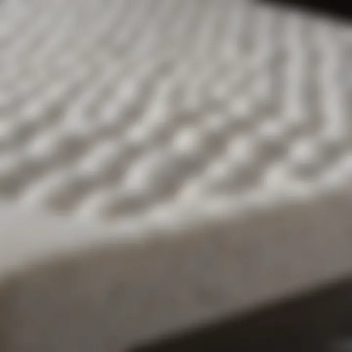 Detailed view of foam materials and structure
