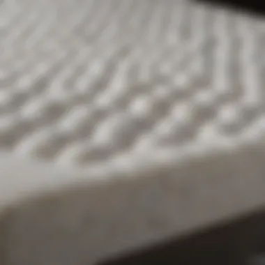 Detailed Foam Materials Insight Detailed view of foam materials and structure