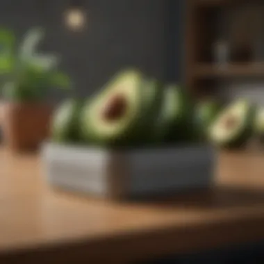 Innovative storage containers designed for avocados