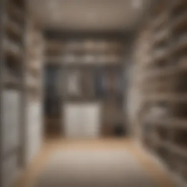Choosing the Right Organizational Systems Different types of closet organizers and systems