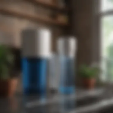 Overview of top-rated affordable water filters