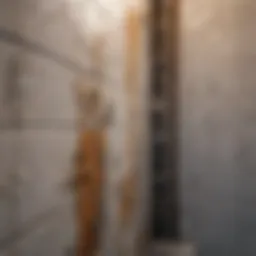 Close-up view of mold on bathroom tiles