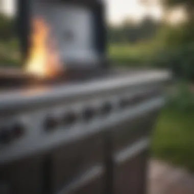 Close-up of a side burner in action during a cookout