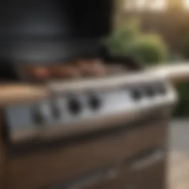 User-friendly controls and features of a premium BBQ grill