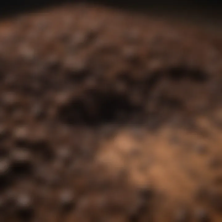 Close-up of coffee grounds reflecting texture.