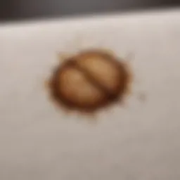 A close-up view of a coffee stain on a white fabric