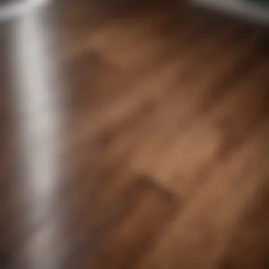 Refinished hardwood floor showcasing shine