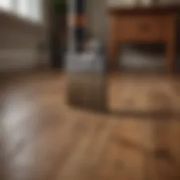 Tools for hardwood floor refinishing