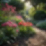 Vibrant June-blooming bulbs in a lush garden setting