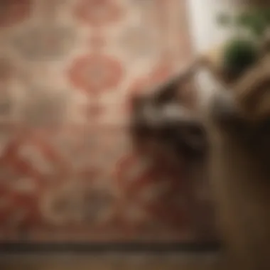 Exploring Textures and Patterns for Rug Choices Different rug textures and patterns displayed