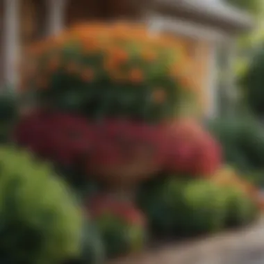 Seasonal Plant Arrangements for Dynamic Appeal Colorful seasonal plants arranged in a front yard garden