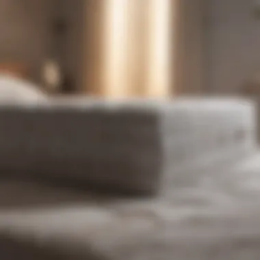 Transforming Your Mattress: Before and After Before and after cleaning a mattress