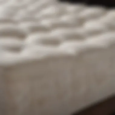 Identifying Different Mattress Stains Close-up view of stains on a mattress