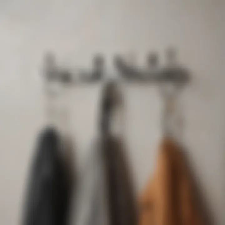 Innovative design of multi-functional hooks
