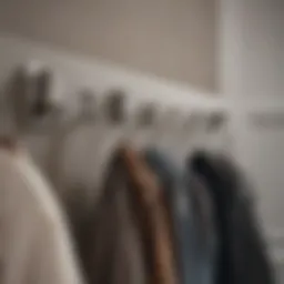 Stylish closet hooks enhancing organization