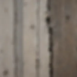 Close-up of weathered wood siding showing peeling paint