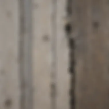 Close-up of weathered wood siding showing peeling paint