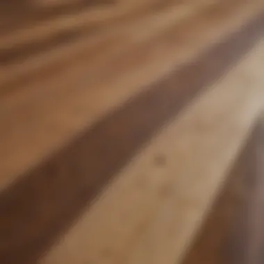 Close-up of different wood types for flooring selection