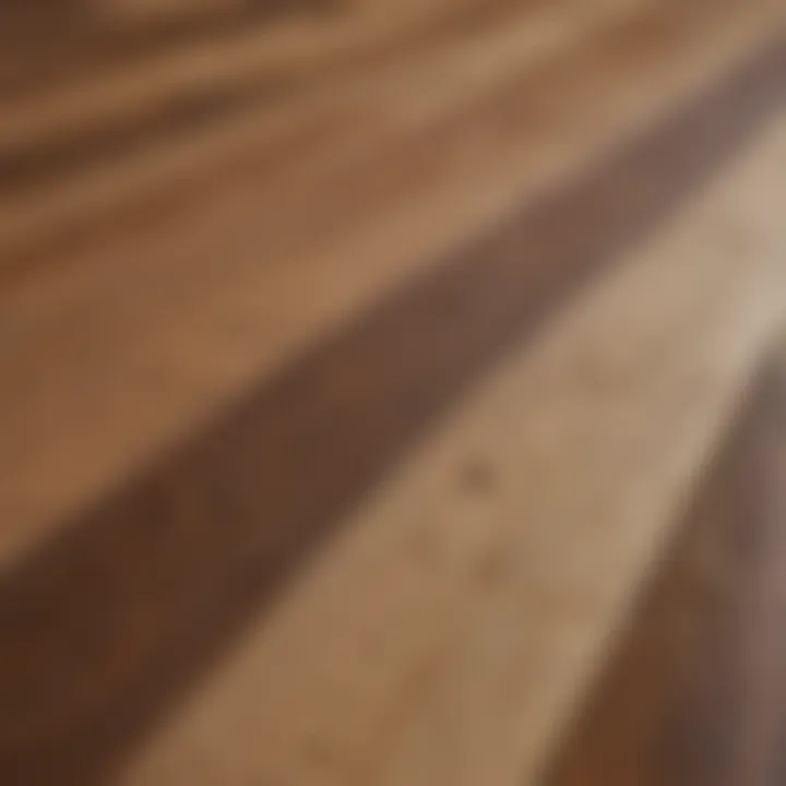 Close-up of different wood types for flooring selection