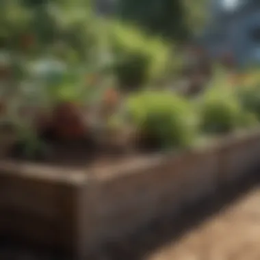 Healthy plants thriving in rich soil within a raised bed