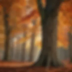 Different species of maple trees in a forest