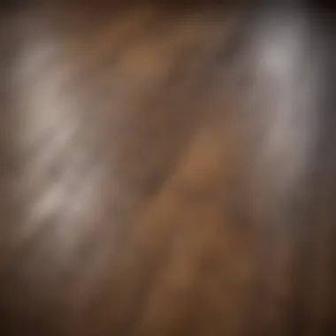 Close-up of Grimy Hardwood Floor Close-up of a hardwood floor showing dust and grime accumulation