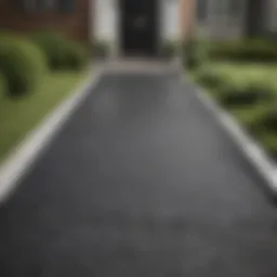 Elegant asphalt walkway leading to a front door
