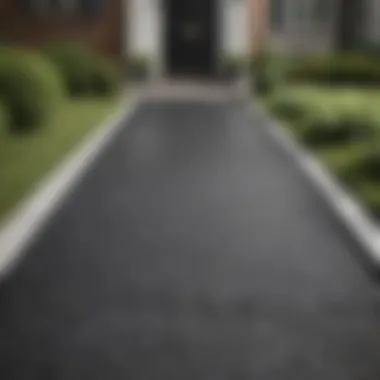 Elegant asphalt walkway leading to a front door