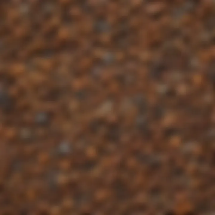 A diverse array of seeds on a wooden surface, representing different plant types.