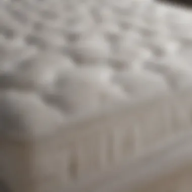 Lifespan of Different Mattress Types An infographic illustrating mattress lifespan by type