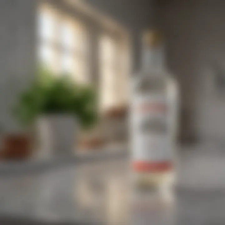 Bottle of white vinegar on a countertop