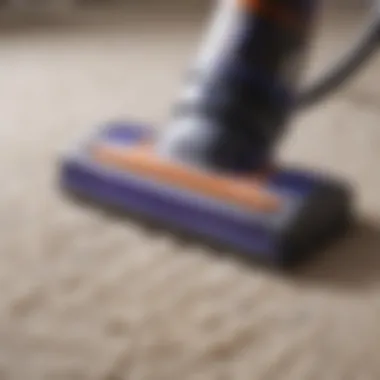 Close-up of Dyson vacuum cleaning pet hair from carpet