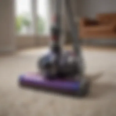 Dyson vacuum model designed for pet hair cleaning