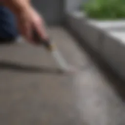 Selection of different caulking materials displayed for comparison