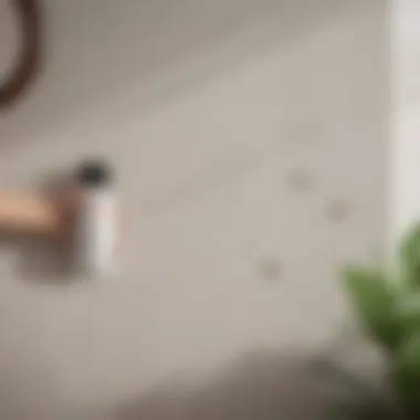 A person demonstrating how to apply insect spray in a corner of a home