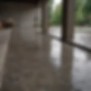 Exploring Natural Solutions for Concrete Cleaning Natural cleaning solutions for concrete surfaces