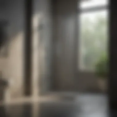 After Cleaning: Sparkling Shower Glass Door Shower glass door after successful cleaning