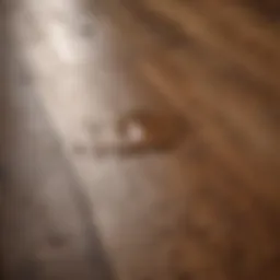 Close-up of a wood floor with a coffee stain