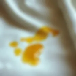 Close-up of an olive oil stain on fabric