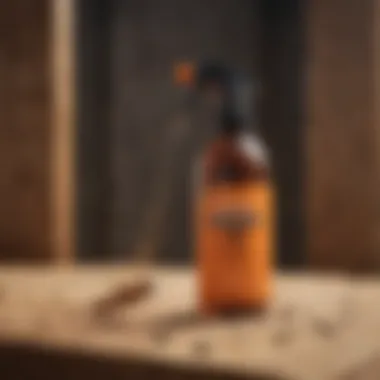 A close-up of a termite spray bottle surrounded by wooden structures