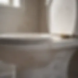 Close-up view of hard water stains in a toilet bowl