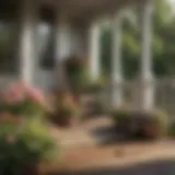 A peaceful porch setting with blooming flowers attracting bees.