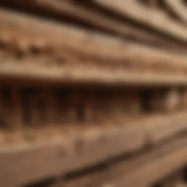 A close-up view of termite damage in wooden structures