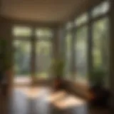 Natural sunlight streaming through windows