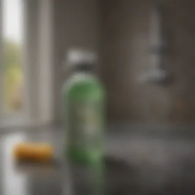Cleaning supplies for mold removal